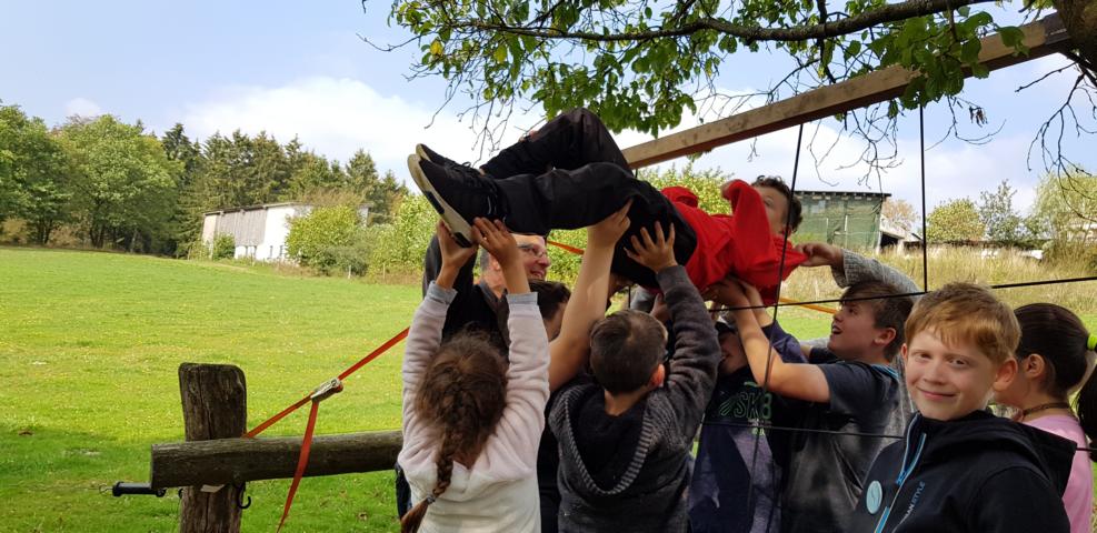 spinnennetz